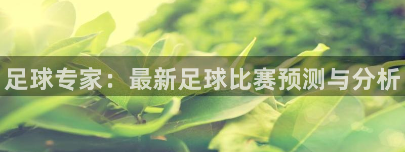 意昂登录：足球专家：最新足球比赛预测与分析