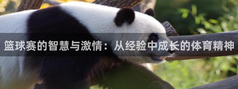 意昂体育app官方网站入口下载：篮球赛的智慧与激情：从经验中