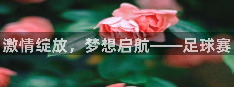 意昂平台登录入口2025：激情绽放，梦想启航——足球赛