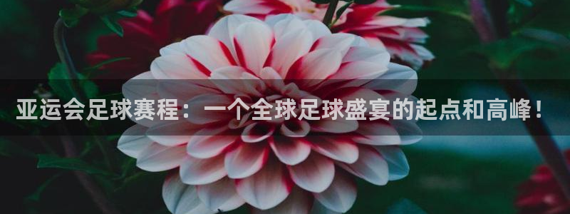  意昂官网入口登录：亚运会足球赛程：一个全球足球盛宴的起点和高