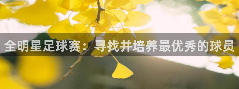 意昂平台官网：全明星足球赛：寻找并培养最优秀的球员