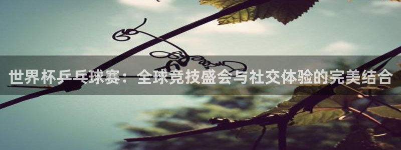 意昂体育app官方网站入口下载：世界杯乒乓球赛：全球竞技盛会