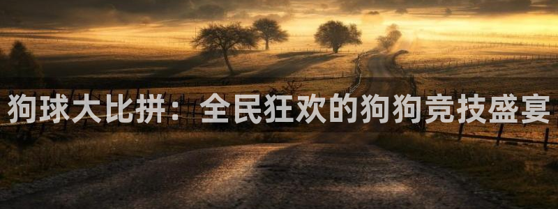 意昂体育是正规平台的吗：狗球大比拼：全民狂欢的狗狗竞技盛宴