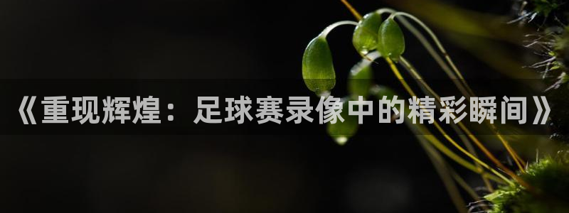 意昂体育是正规平台的吗：《重现辉煌：足球赛录像中的精彩瞬间》