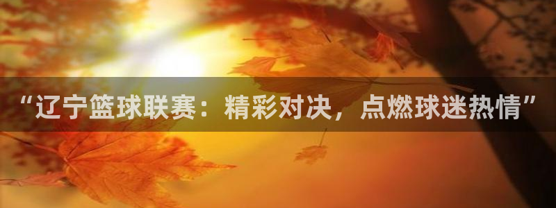  意昂体育app下载安装官网：“辽宁篮球联赛：精彩对决，点燃球