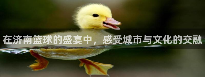 意昂平台登录入口2025：在济南篮球的盛宴中，感受城市与文化