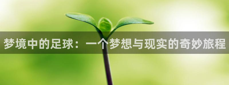 意昂平台：梦境中的足球：一个梦想与现实的奇妙旅程