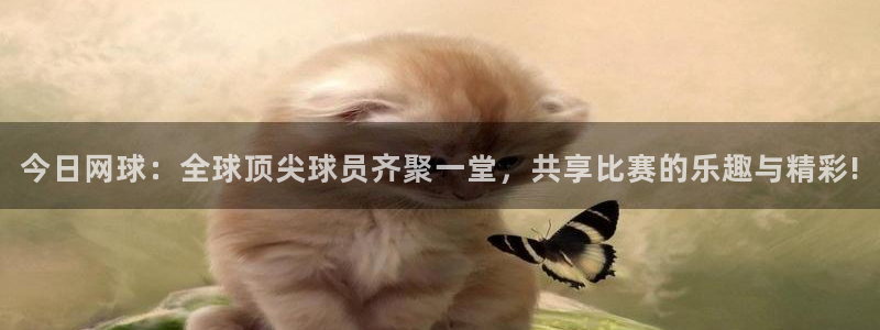  意昂平台登录入口最新版本介绍：今日网球：全球顶尖球员齐聚一堂