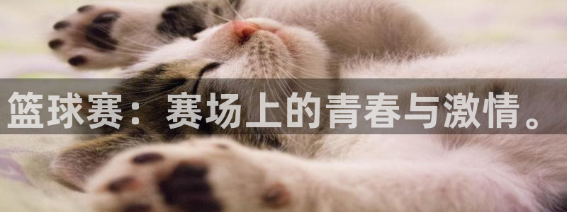  意昂平台官网：篮球赛：赛场上的青春与激情。