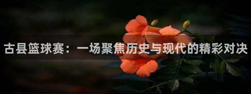  意昂注册：古县篮球赛：一场聚焦历史与现代的精彩对决
