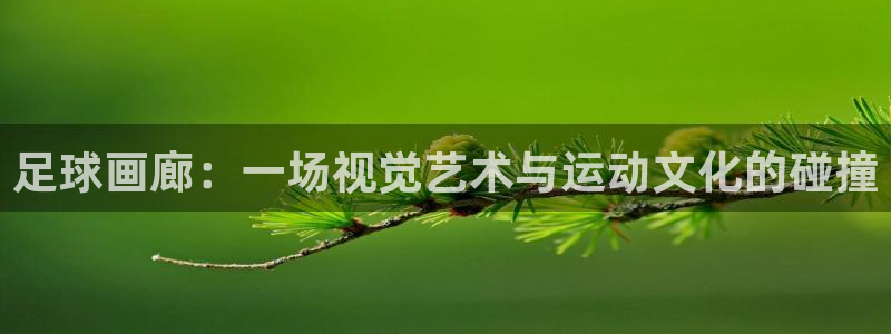  意昂体育官网：足球画廊：一场视觉艺术与运动文化的碰撞