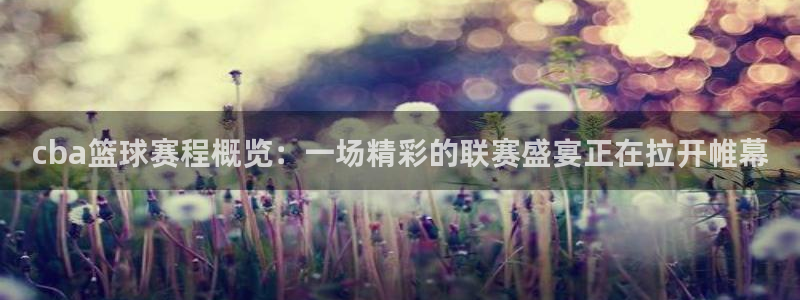  意昂官网入口登录：cba篮球赛程概览：一场精彩的联赛盛宴正在